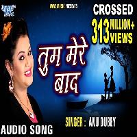 Tum Mere Baad Mohabbat Ko Taras Jaoge Anu Dubey New Bhojpuri Song 2022 By Anu Dubey Poster